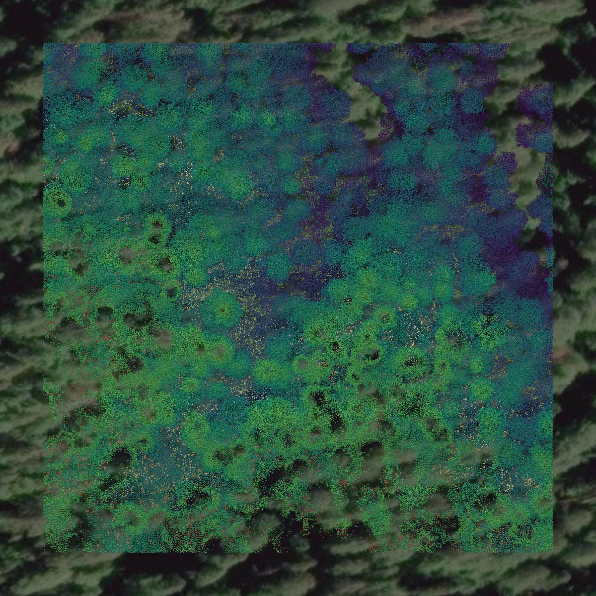 This image shows a LiDAR point cloud in Jefferson County created using GIS data in Equator.