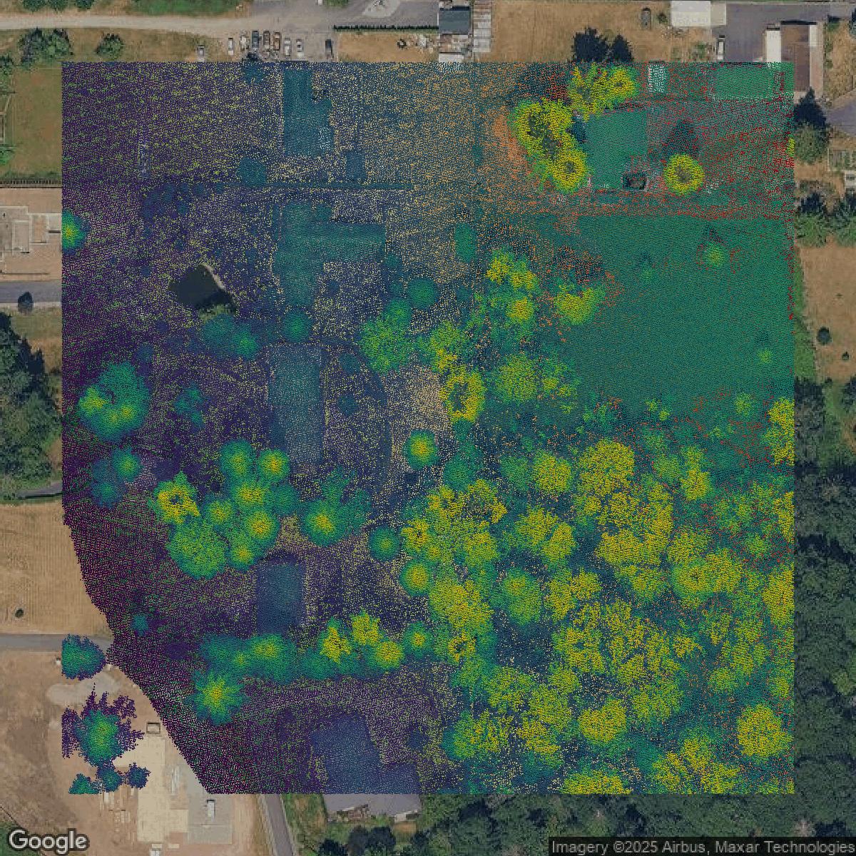 This image shows a LiDAR point cloud in King County created using GIS data in Equator.