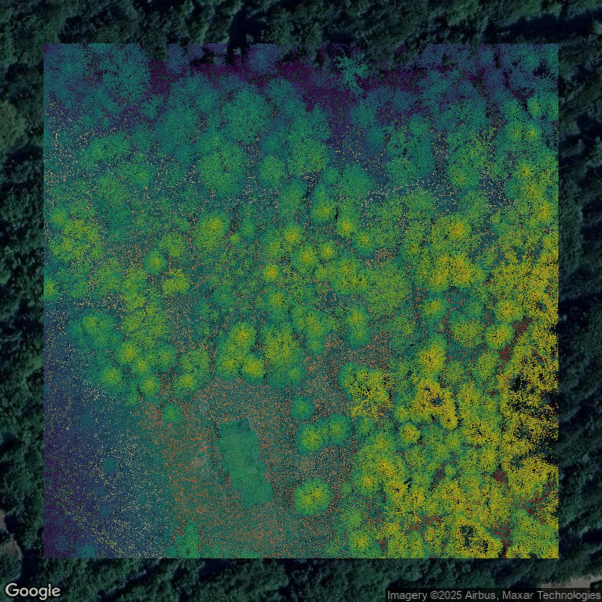 This image shows a LiDAR point cloud in King County created using GIS data in Equator.