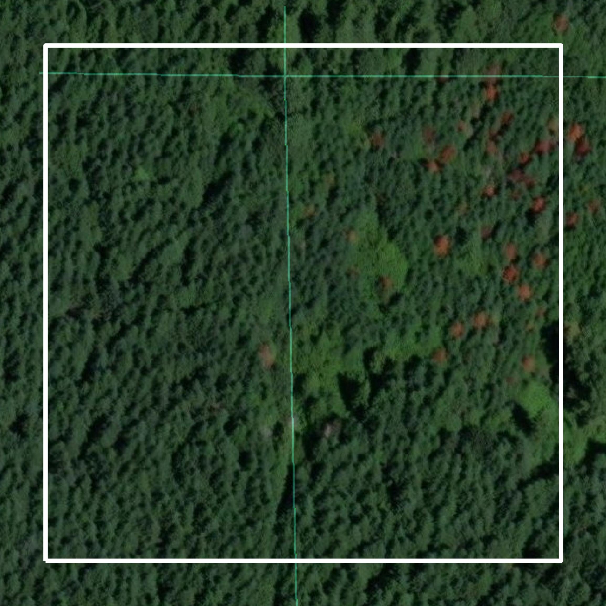 This image shows parcel and building data in Lewis County created using GIS data in Equator.