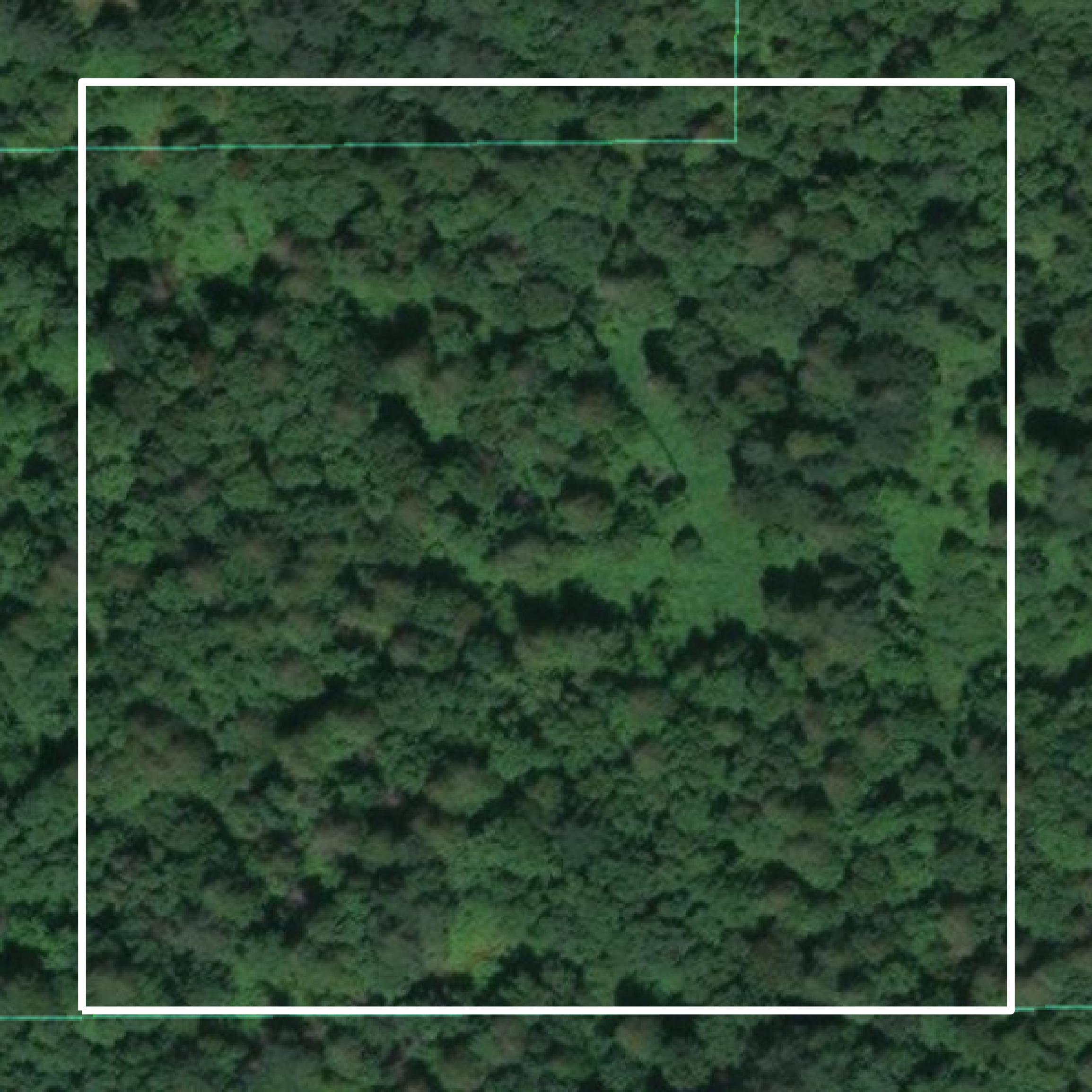 This image shows a contour map in Mason County created using GIS data in Equator.