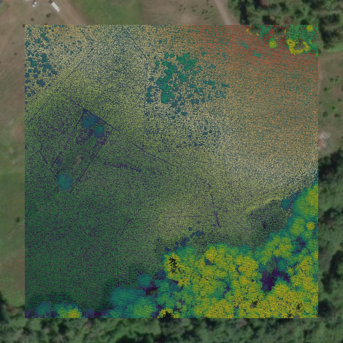 This image shows a LiDAR point cloud in Mason County created using GIS data in Equator.