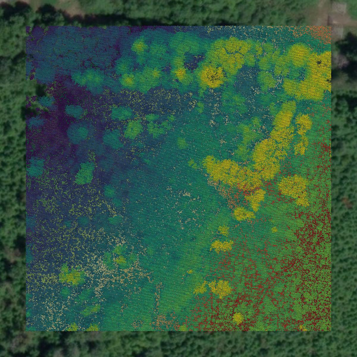 This image shows a LiDAR point cloud in Mason County created using GIS data in Equator.