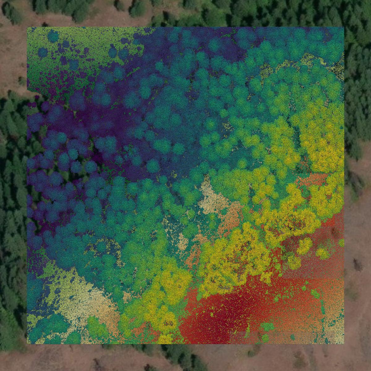 This image shows a LiDAR point cloud in Pend Oreille County created using GIS data in Equator.