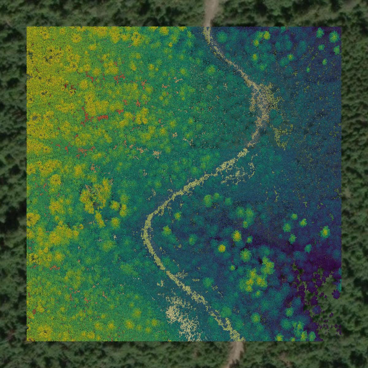 This image shows a LiDAR point cloud in Pend Oreille County created using GIS data in Equator.