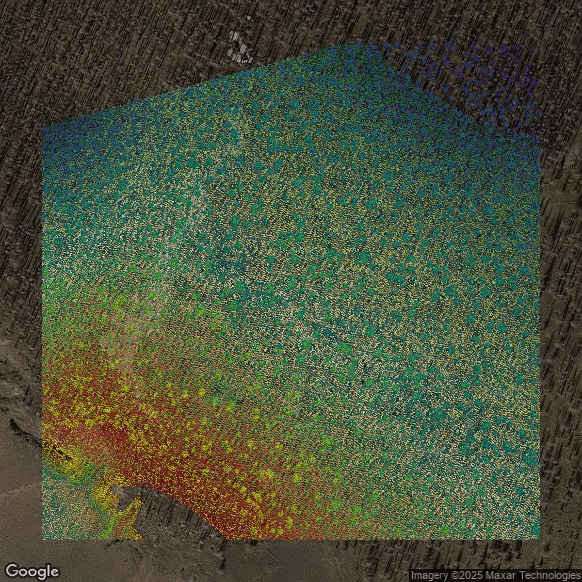 This image shows a LiDAR point cloud in Pierce County created using GIS data in Equator.