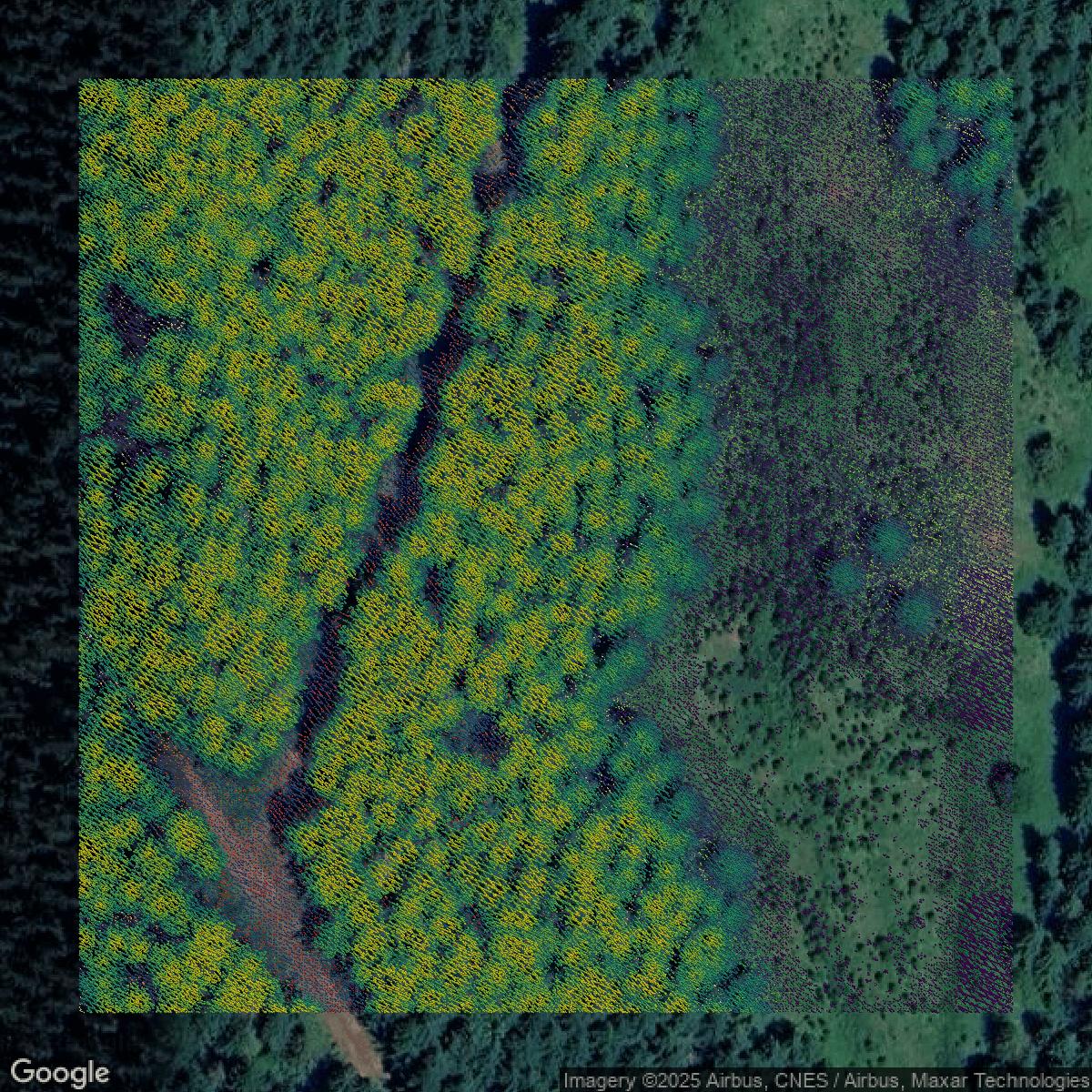 This image shows a LiDAR point cloud in Pierce County created using GIS data in Equator.