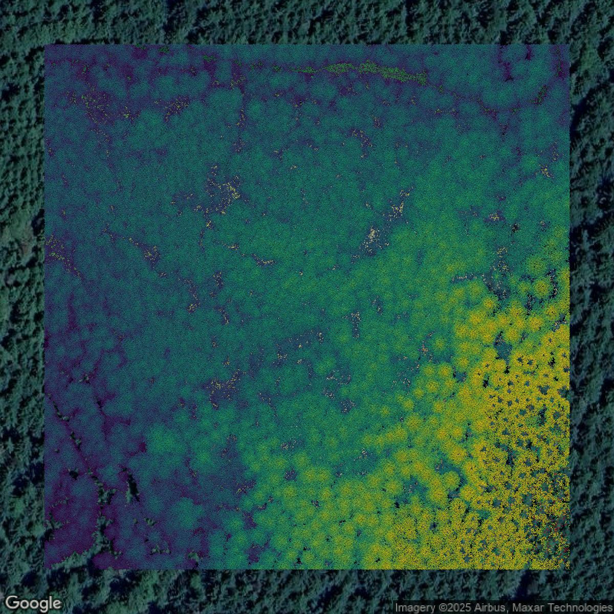 This image shows a LiDAR point cloud in Pierce County created using GIS data in Equator.