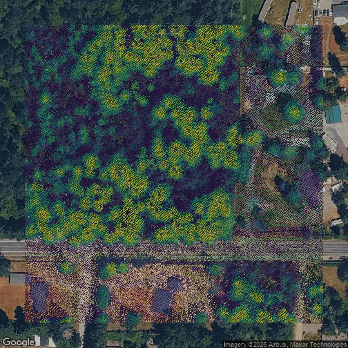 This image shows a LiDAR point cloud in Pierce County created using GIS data in Equator.