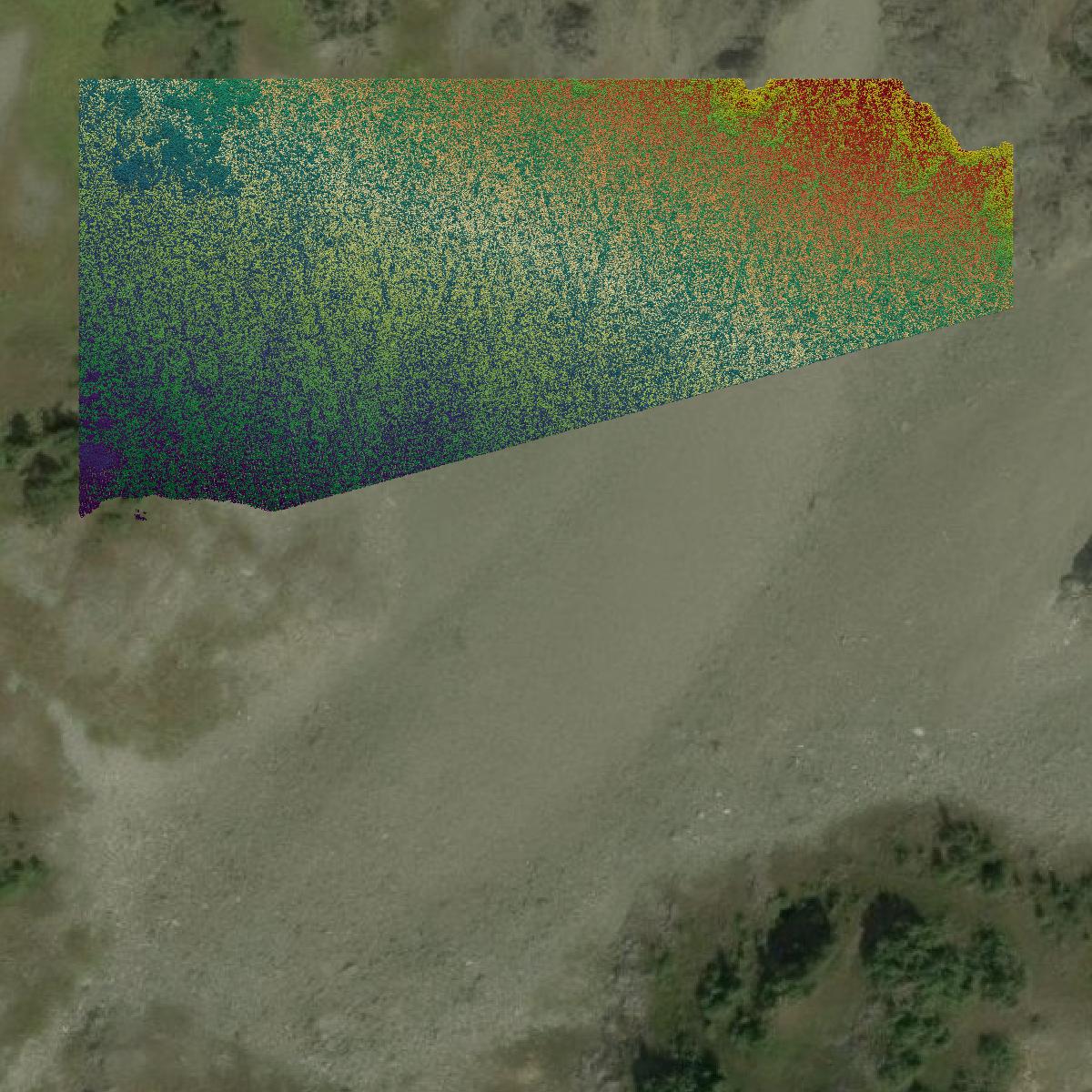 This image shows a LiDAR point cloud in Skagit County created using GIS data in Equator.