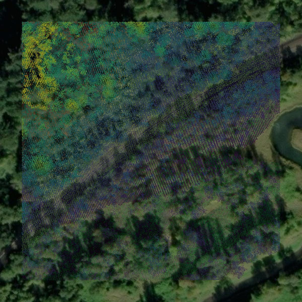 This image shows a LiDAR point cloud in Skamania County created using GIS data in Equator.