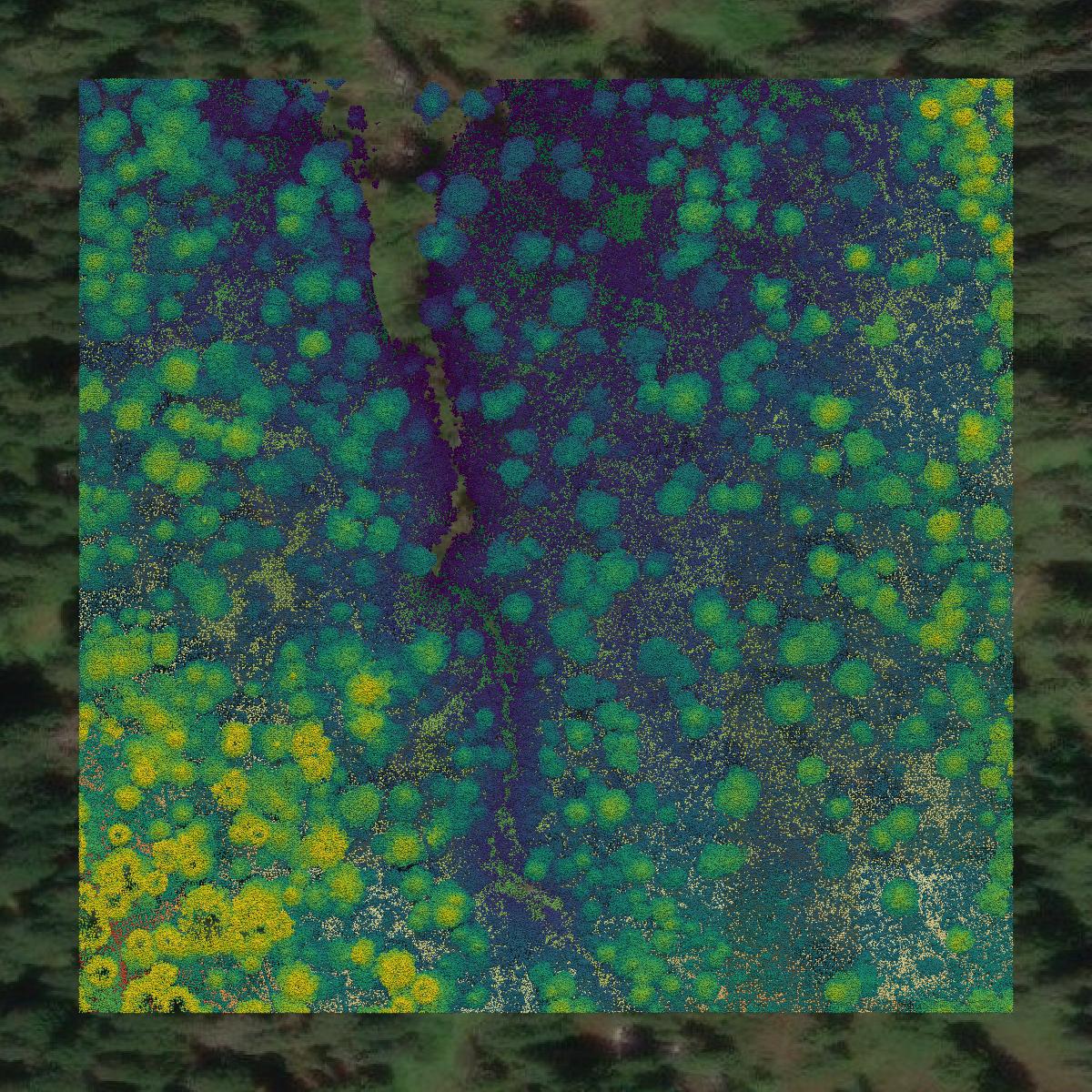 This image shows a LiDAR point cloud in Snohomish County created using GIS data in Equator.