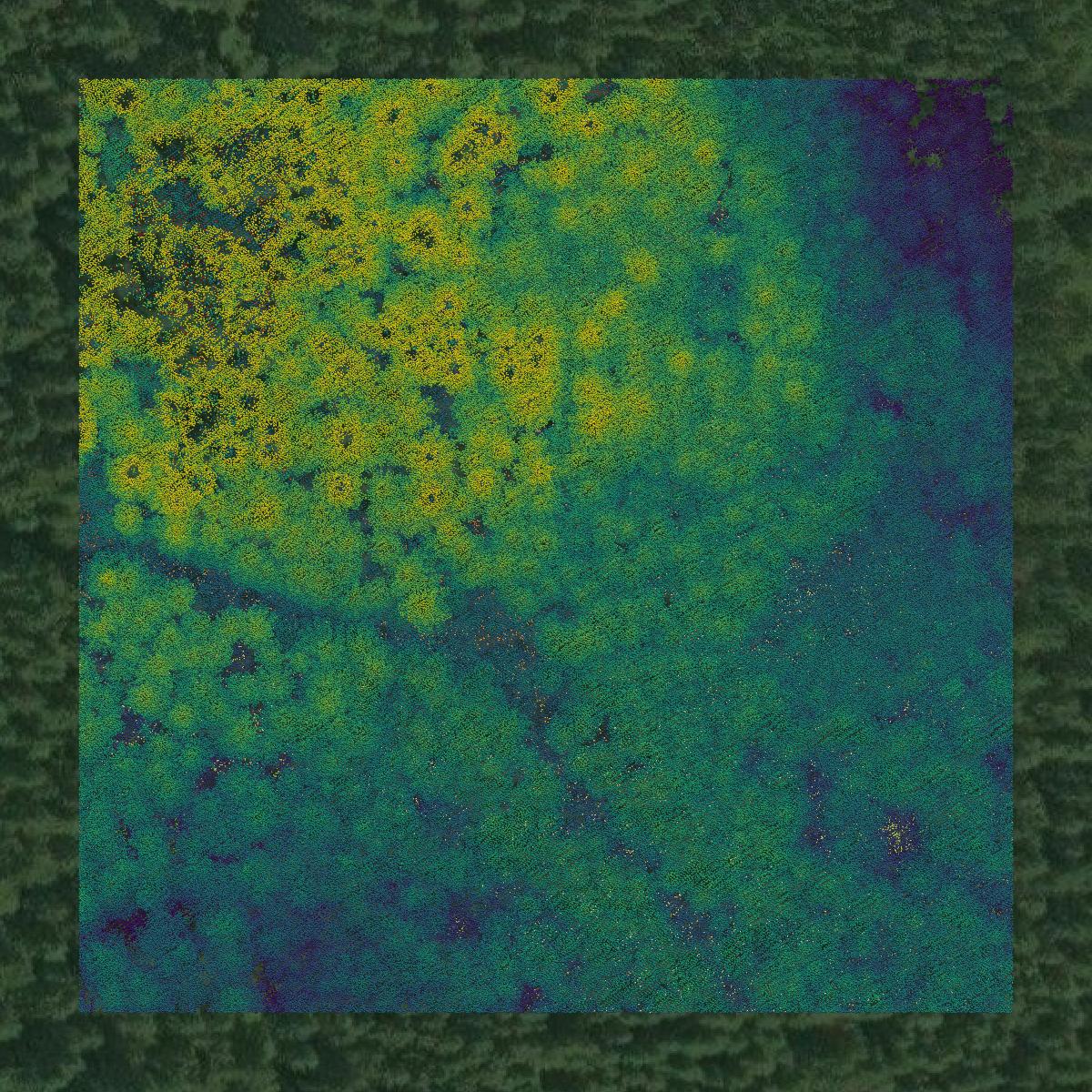 This image shows a LiDAR point cloud in Snohomish County created using GIS data in Equator.