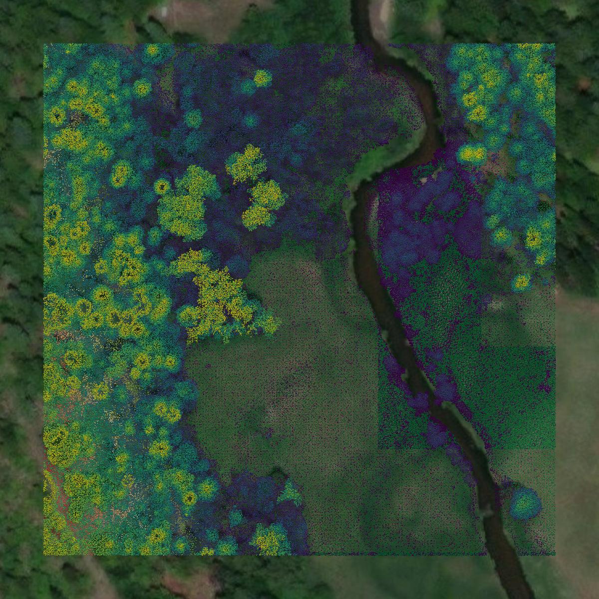 This image shows a LiDAR point cloud in Stevens County created using GIS data in Equator.