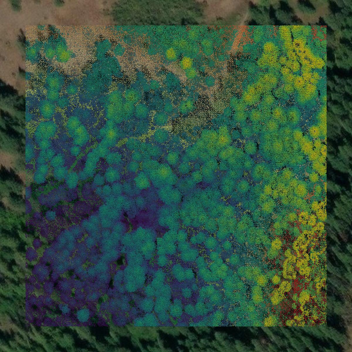 This image shows a LiDAR point cloud in Stevens County created using GIS data in Equator.
