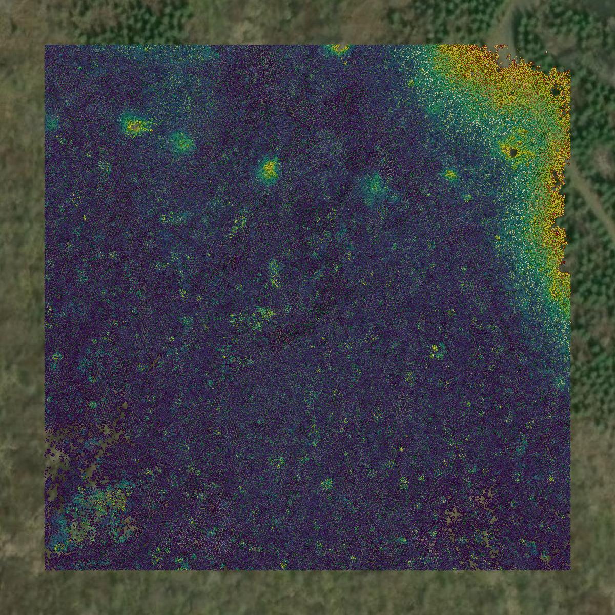 This image shows a LiDAR point cloud in Thurston County created using GIS data in Equator.