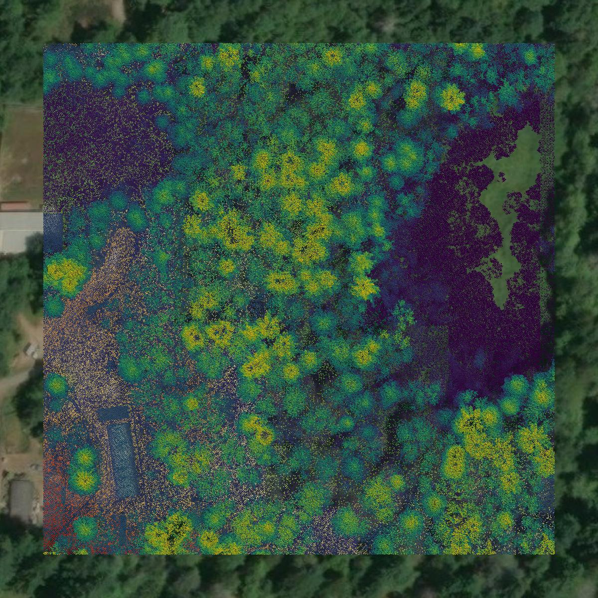 This image shows a LiDAR point cloud in Thurston County created using GIS data in Equator.