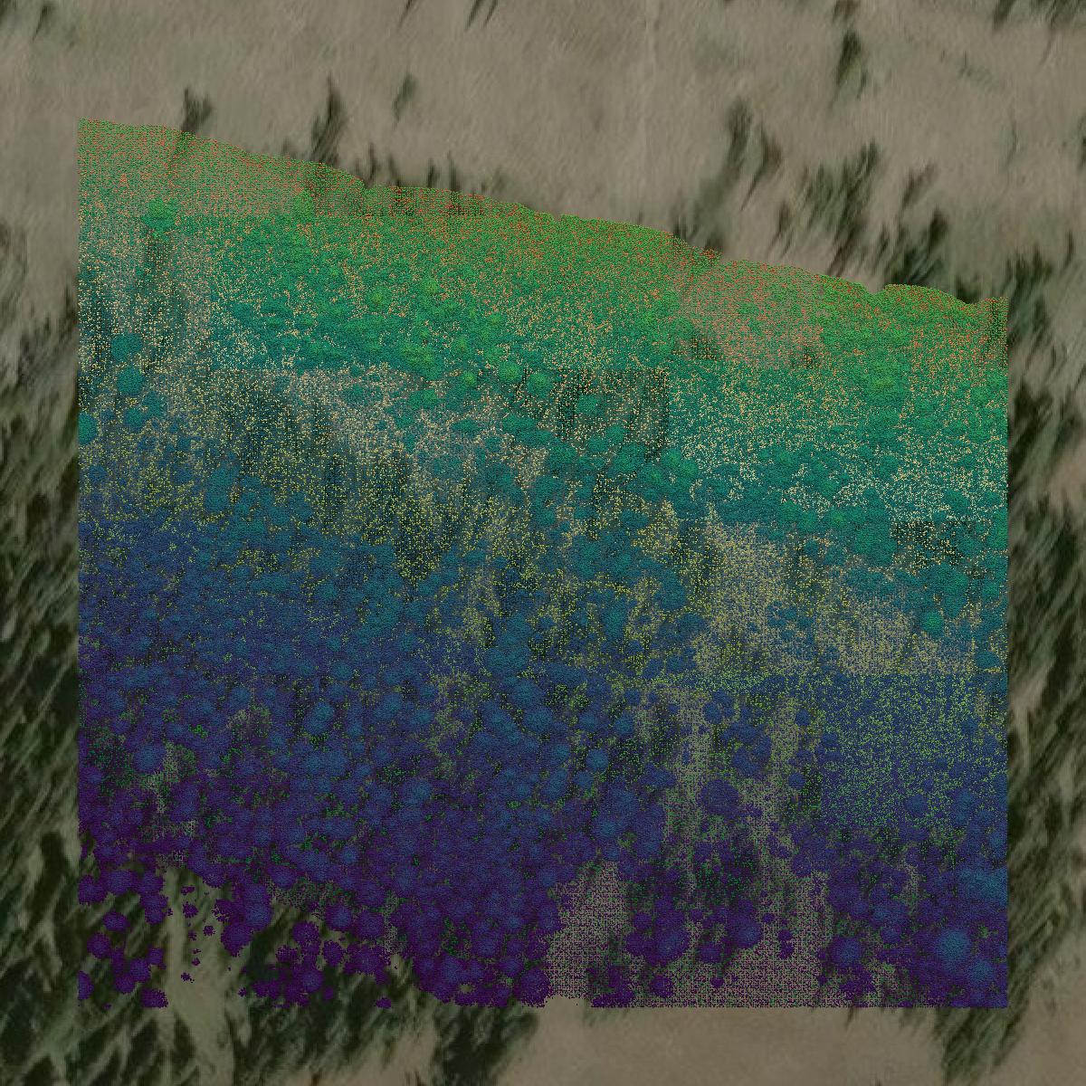 This image shows a LiDAR point cloud in Whatcom County created using GIS data in Equator.