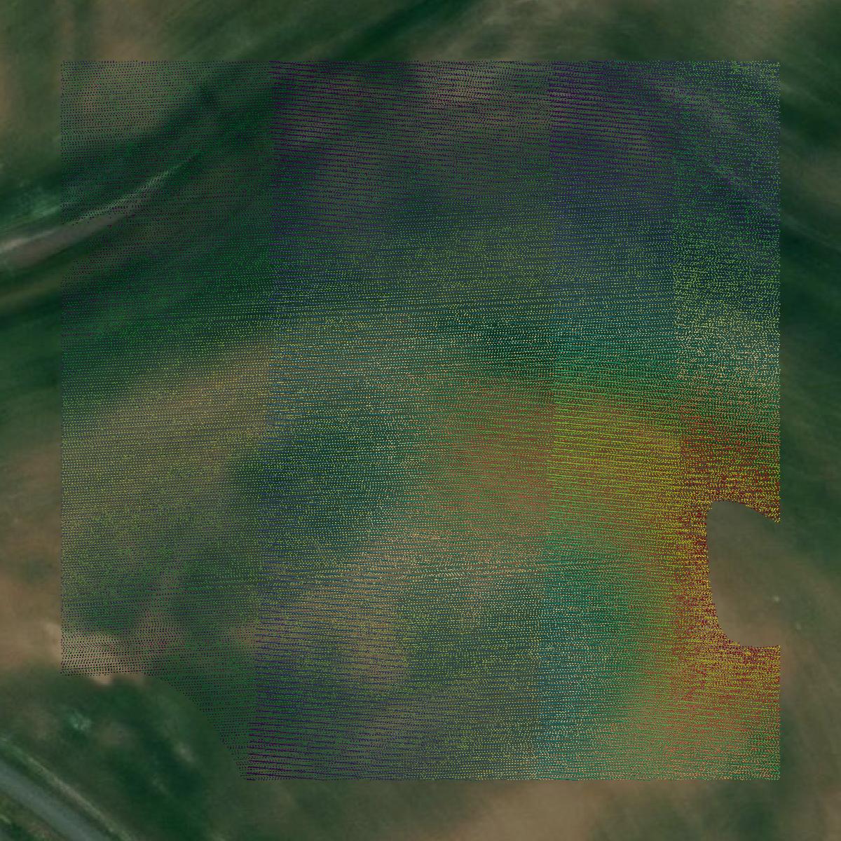 This image shows a LiDAR point cloud in Whitman County created using GIS data in Equator.