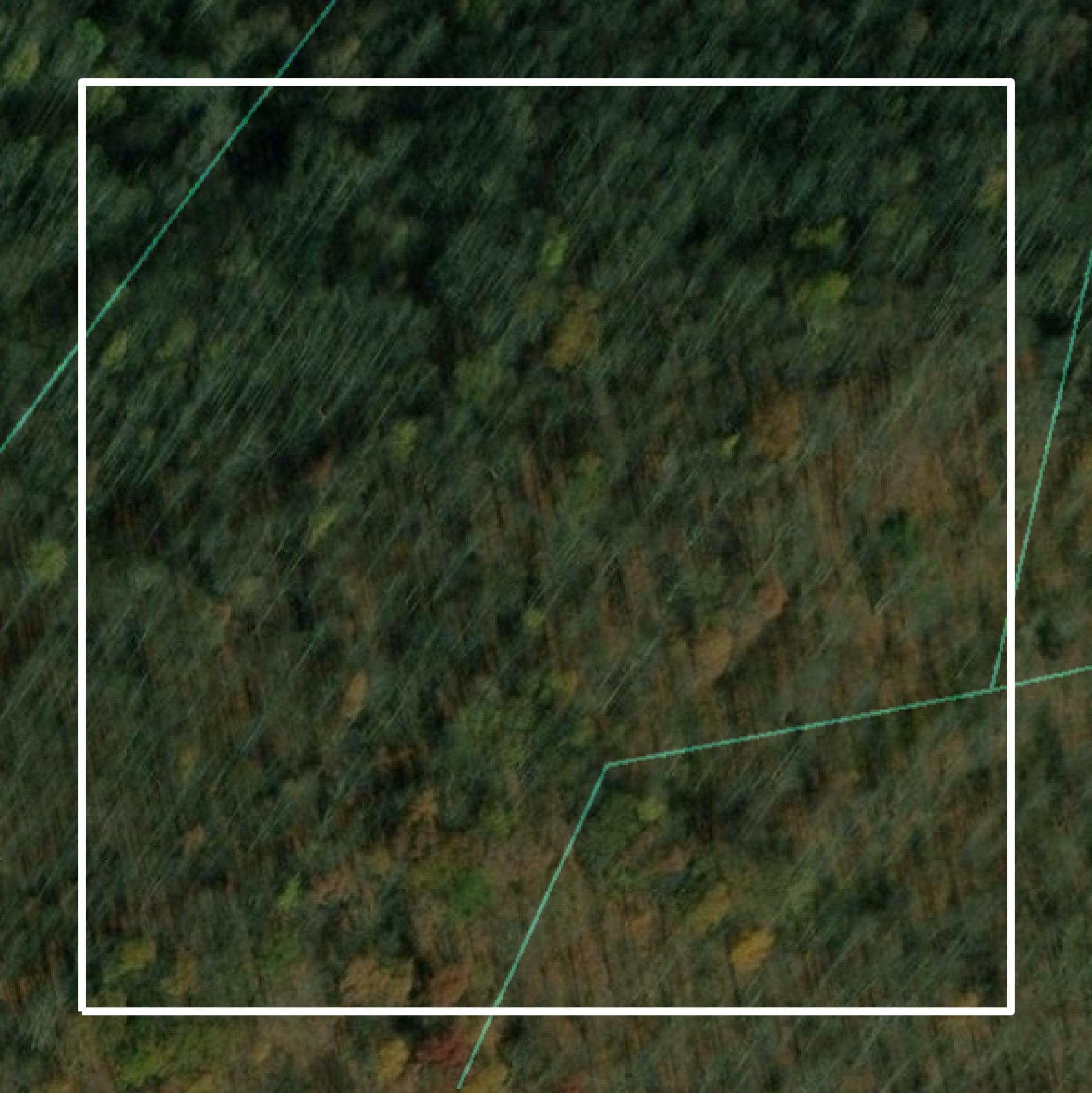 This image shows parcel and building data in Barbour County created using GIS data in Equator.