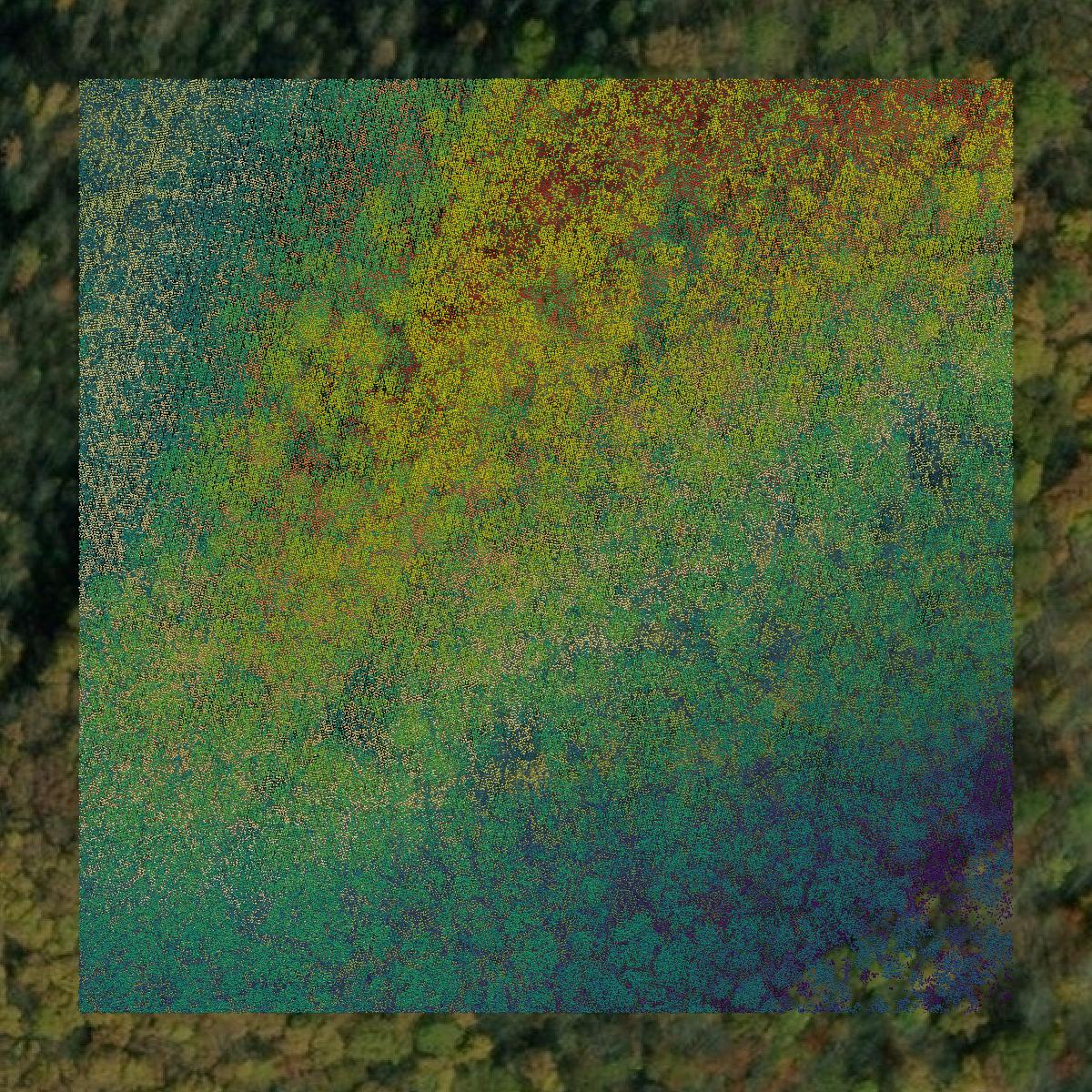 This image shows a LiDAR point cloud in Barbour County created using GIS data in Equator.