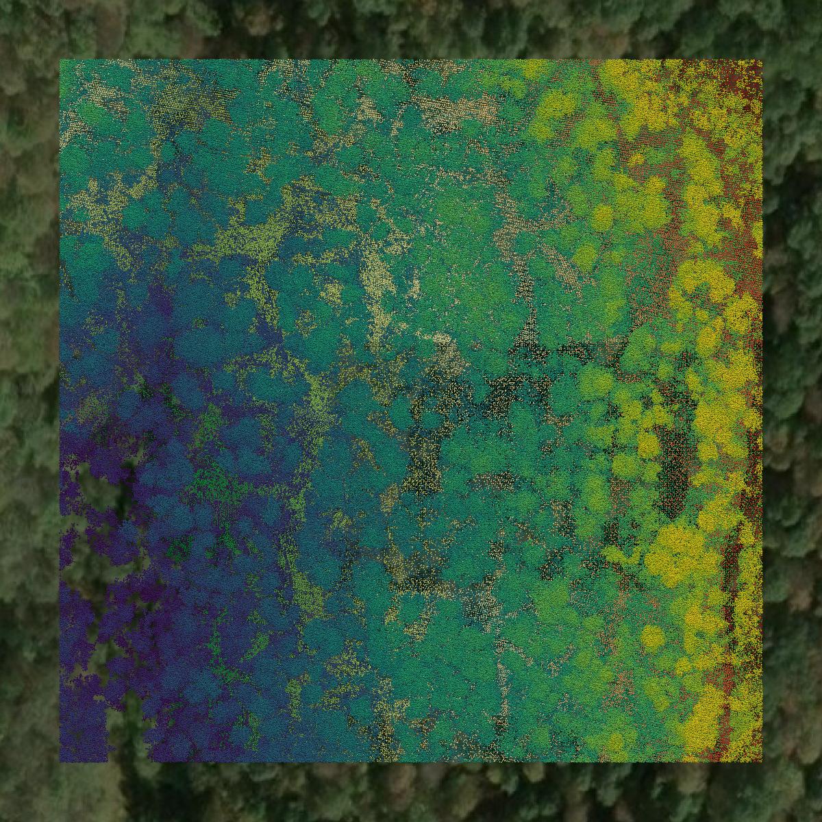 This image shows a LiDAR point cloud in Barbour County created using GIS data in Equator.