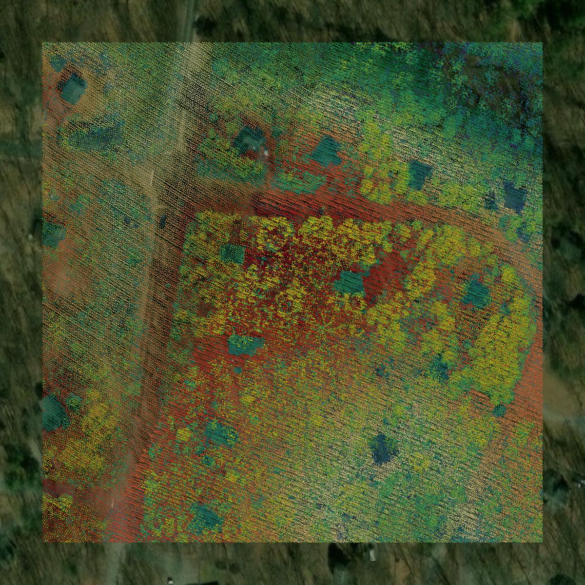 This image shows a LiDAR point cloud in Berkeley County created using GIS data in Equator.