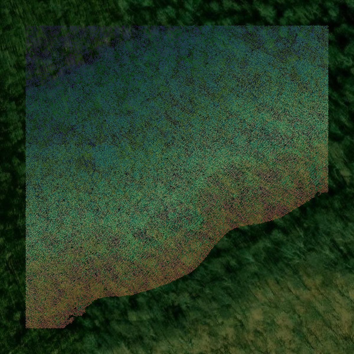 This image shows a LiDAR point cloud in Boone County created using GIS data in Equator.