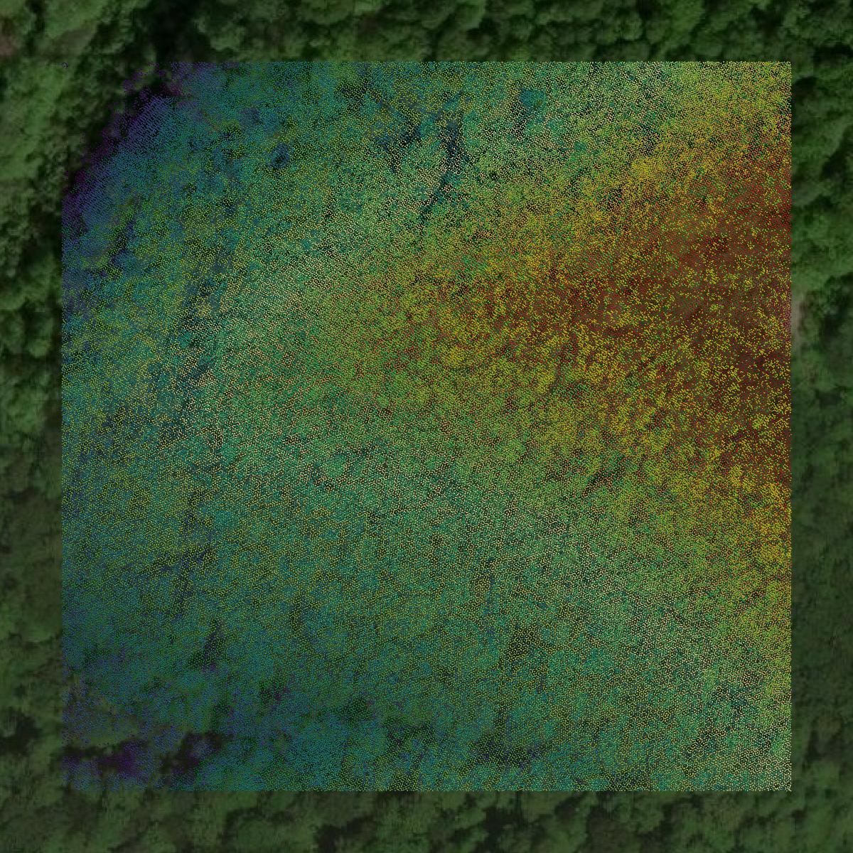 This image shows a LiDAR point cloud in Boone County created using GIS data in Equator.