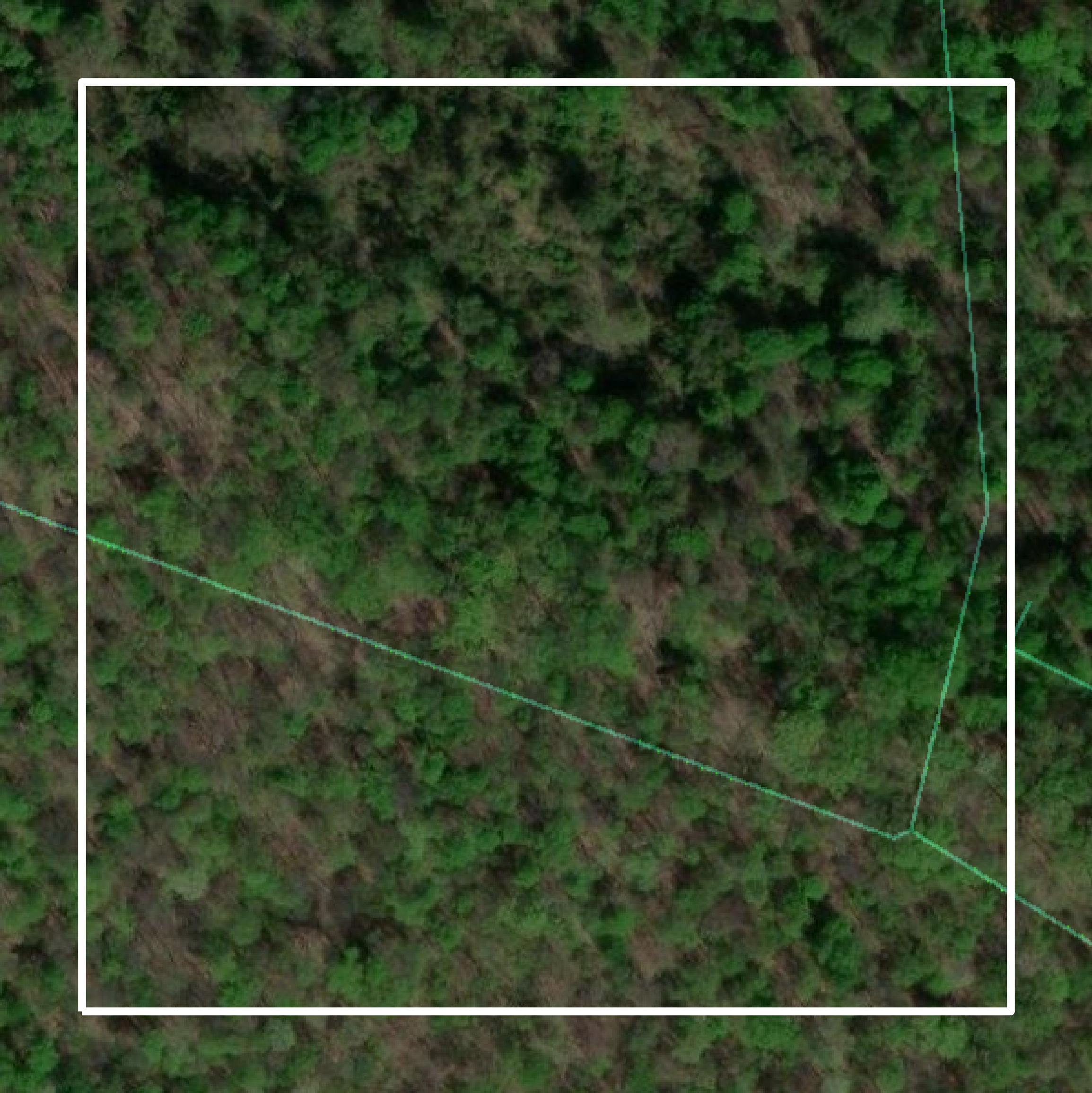 This image shows parcel and building data in Braxton County created using GIS data in Equator.