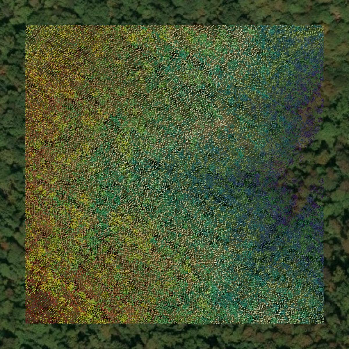 This image shows a LiDAR point cloud in Braxton County created using GIS data in Equator.