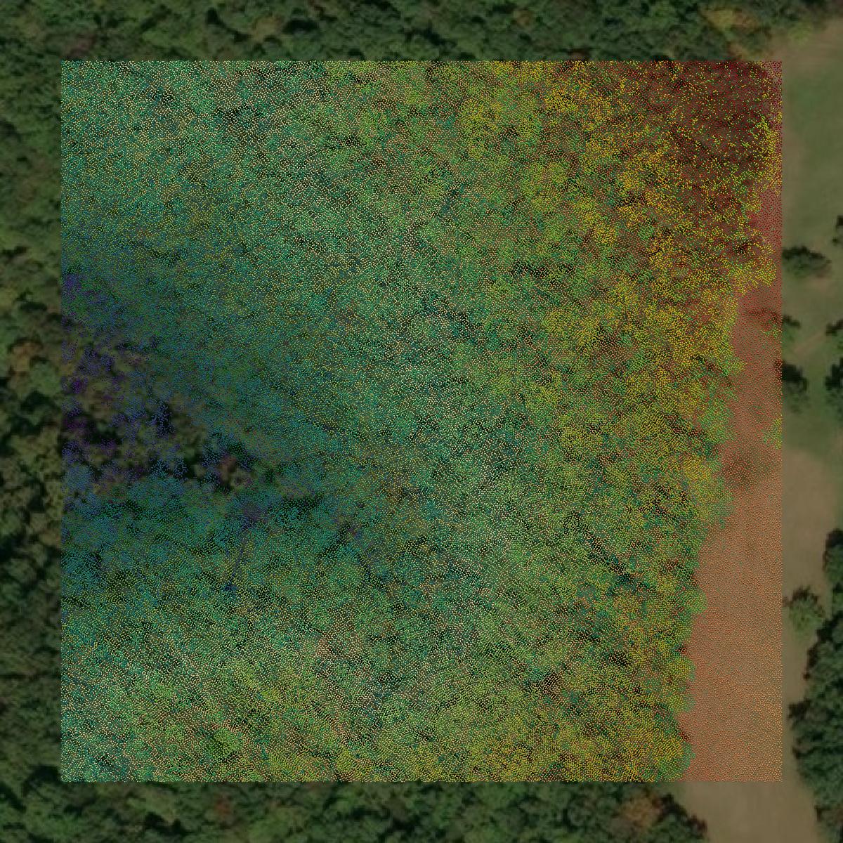This image shows a LiDAR point cloud in Braxton County created using GIS data in Equator.