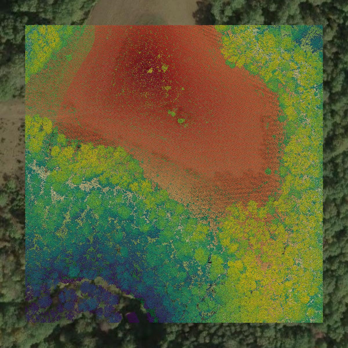 This image shows a LiDAR point cloud in Calhoun County created using GIS data in Equator.