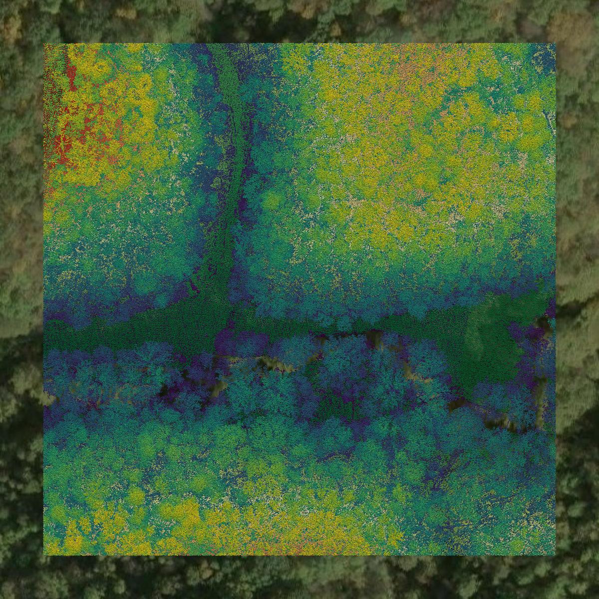 This image shows a LiDAR point cloud in Calhoun County created using GIS data in Equator.