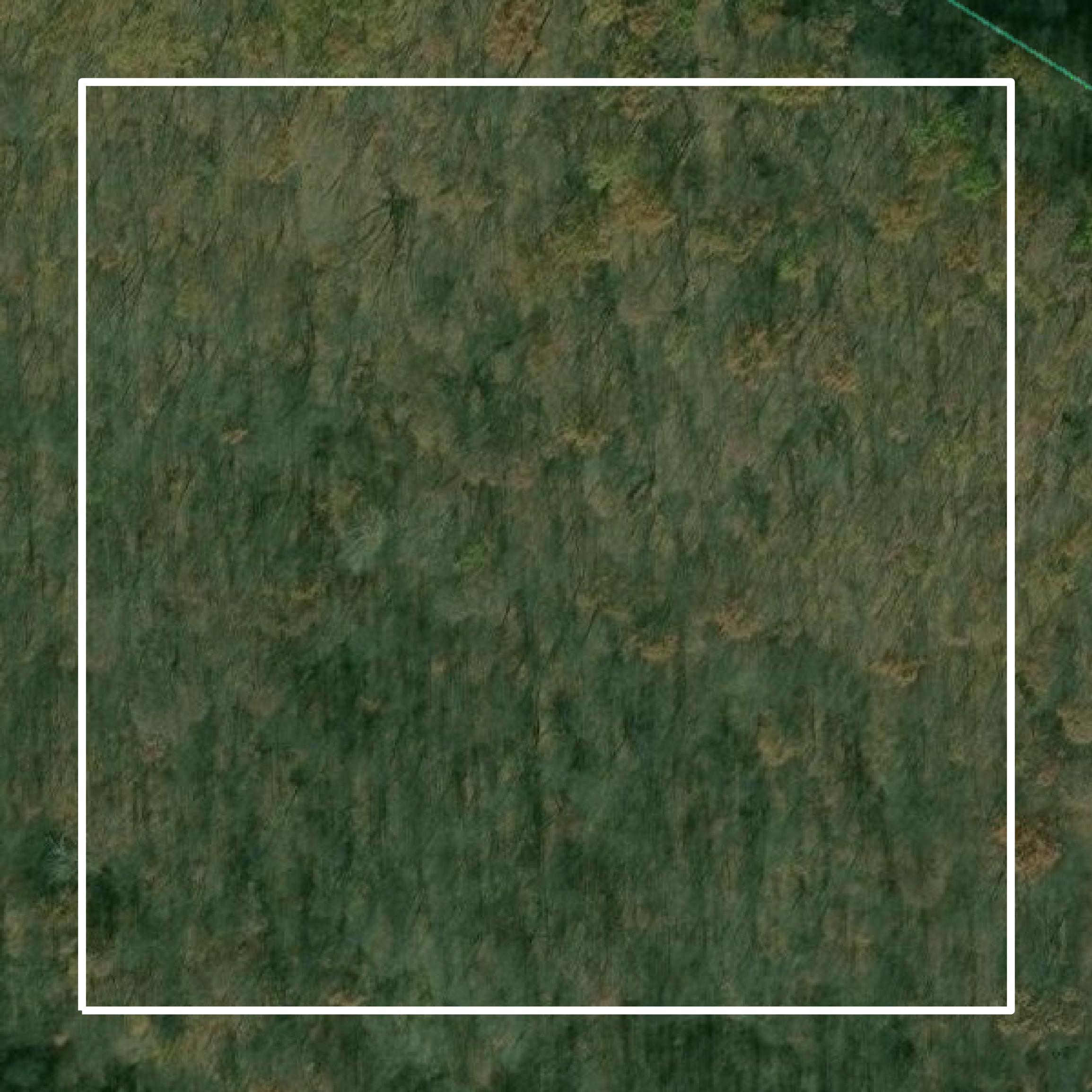 This image shows parcel and building data in Clay County created using GIS data in Equator.