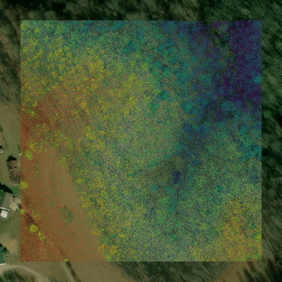 This image shows a LiDAR point cloud in Clay County created using GIS data in Equator.