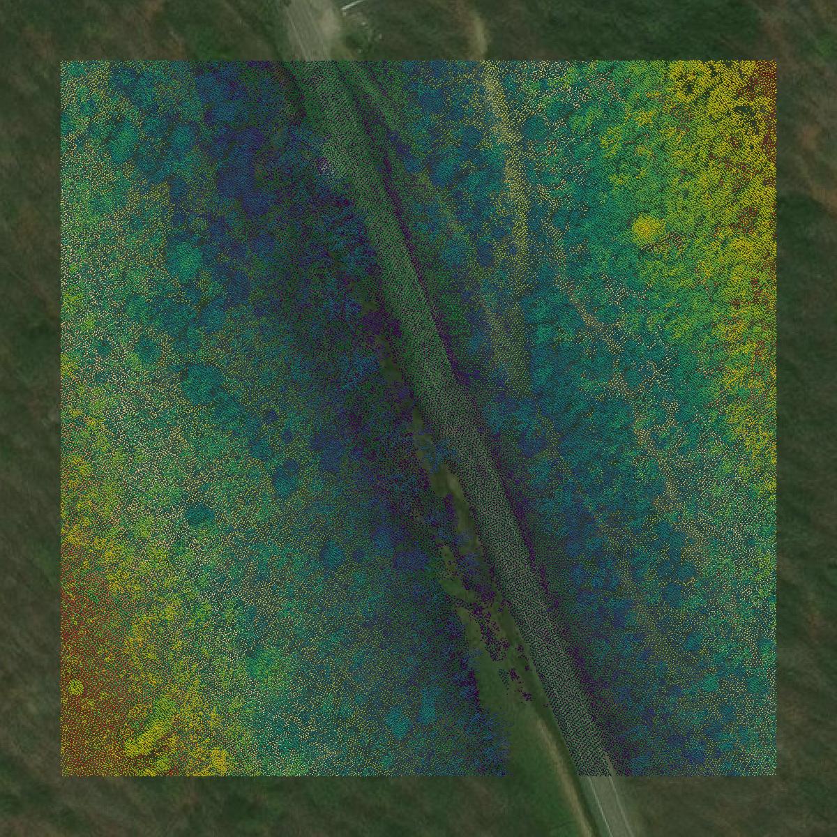 This image shows a LiDAR point cloud in Clay County created using GIS data in Equator.