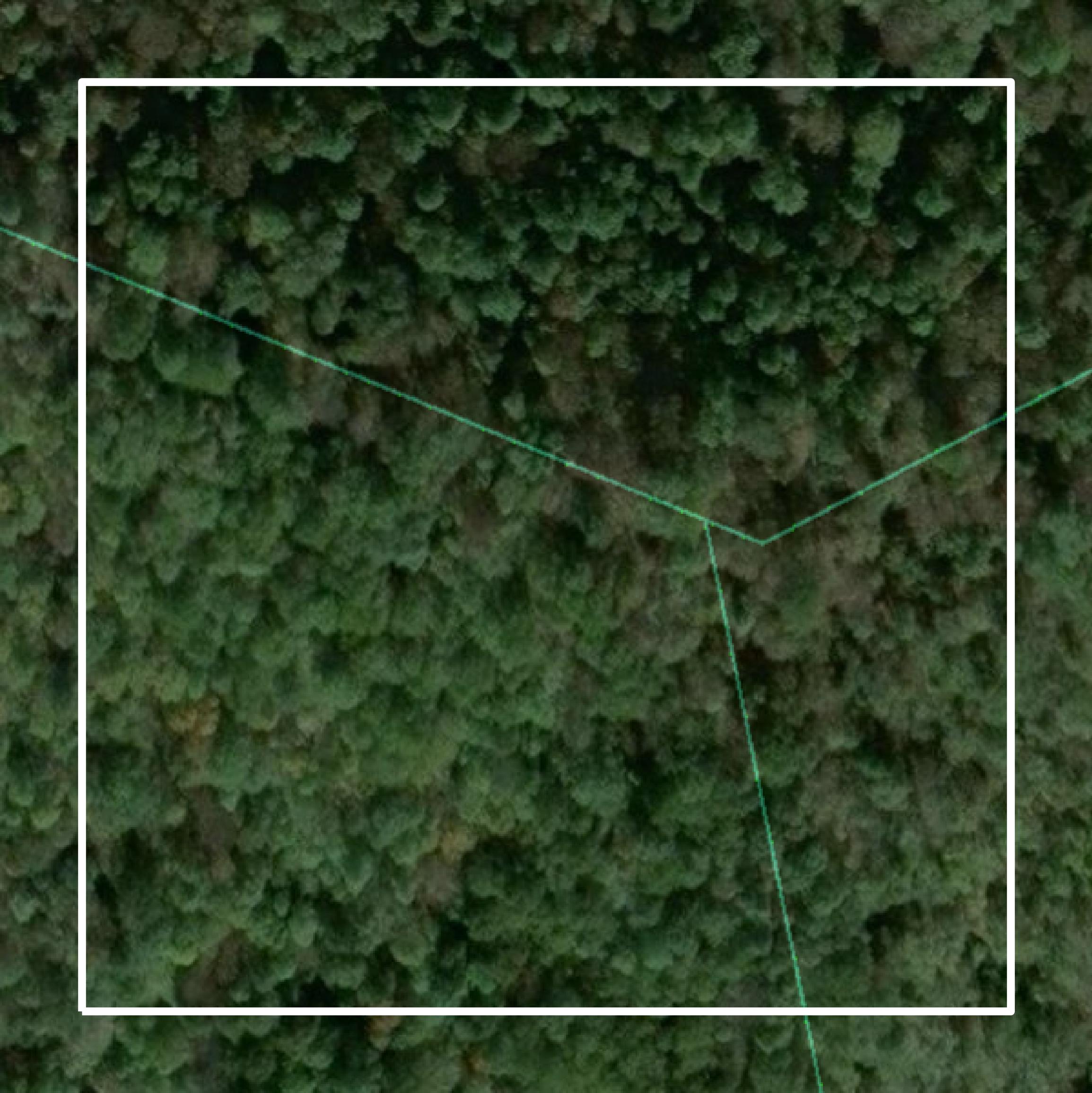 This image shows parcel and building data in Doddridge County created using GIS data in Equator.