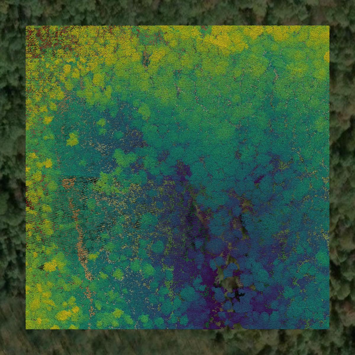 This image shows a LiDAR point cloud in Doddridge County created using GIS data in Equator.