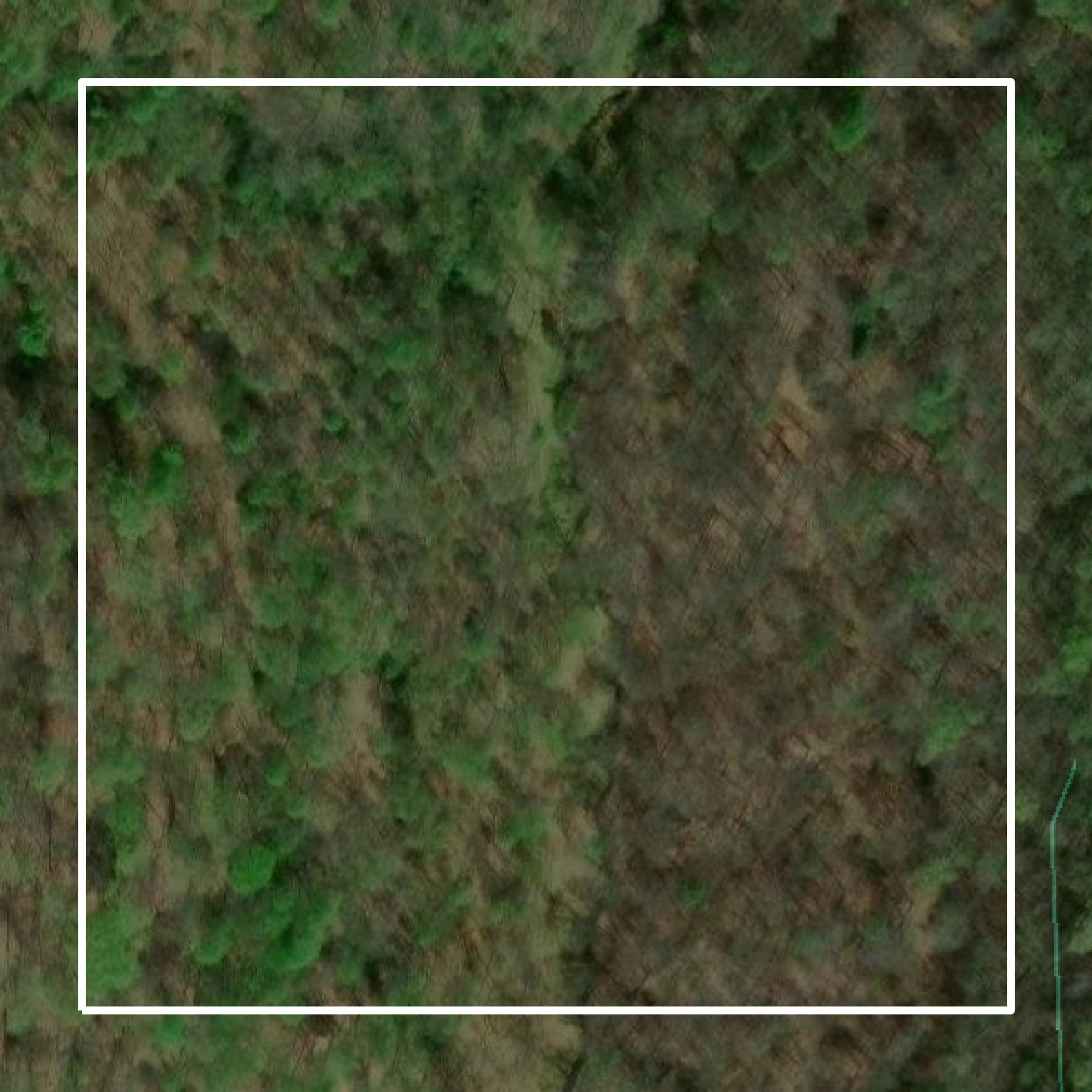 This image shows parcel and building data in Gilmer County created using GIS data in Equator.
