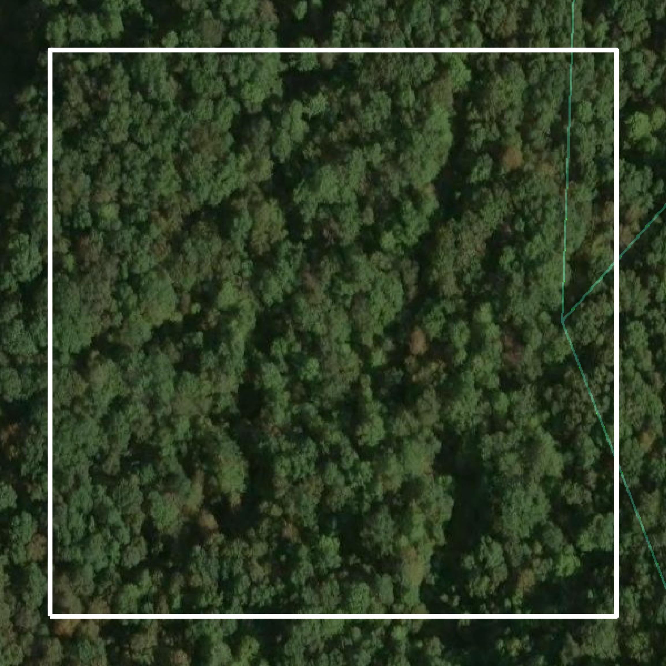 This image shows parcel and building data in Gilmer County created using GIS data in Equator.