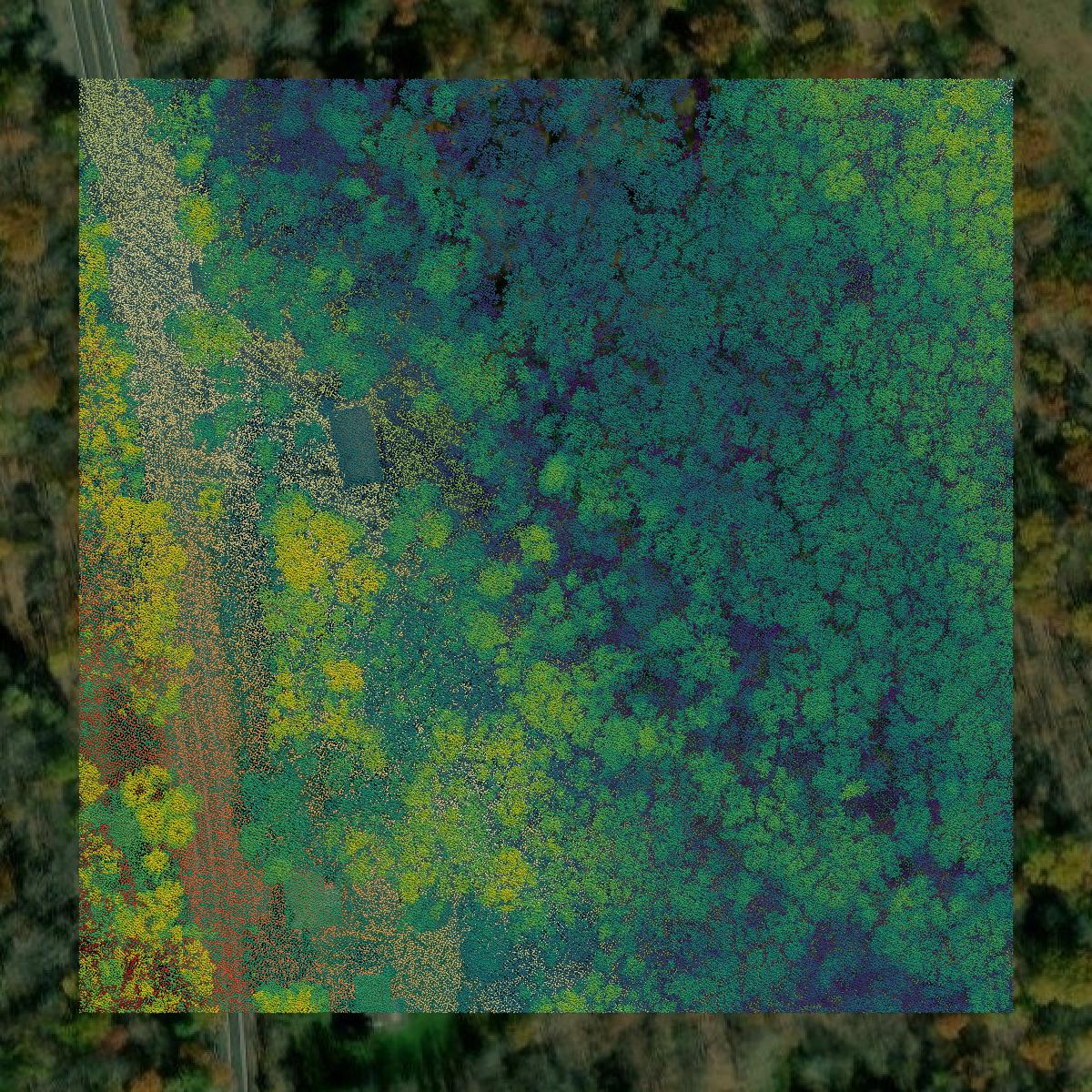 This image shows a LiDAR point cloud in Grant County created using GIS data in Equator.