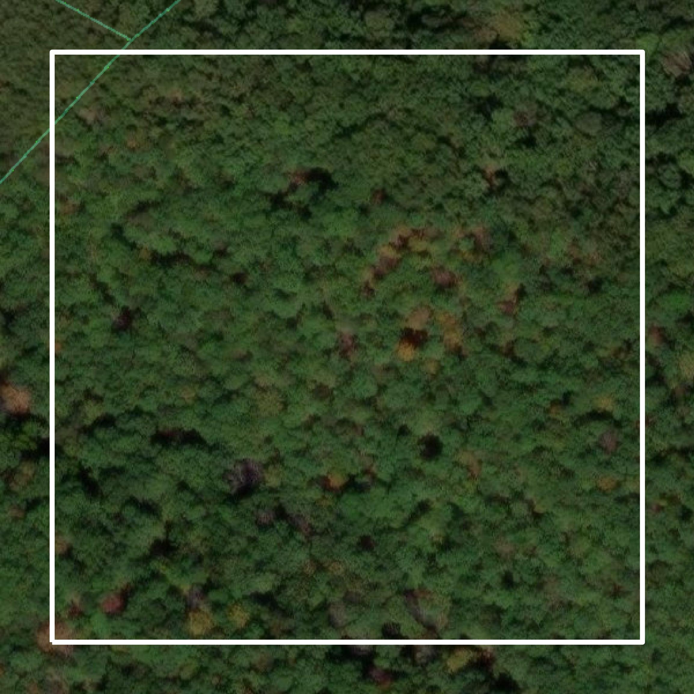 This image shows parcel and building data in Hampshire County created using GIS data in Equator.