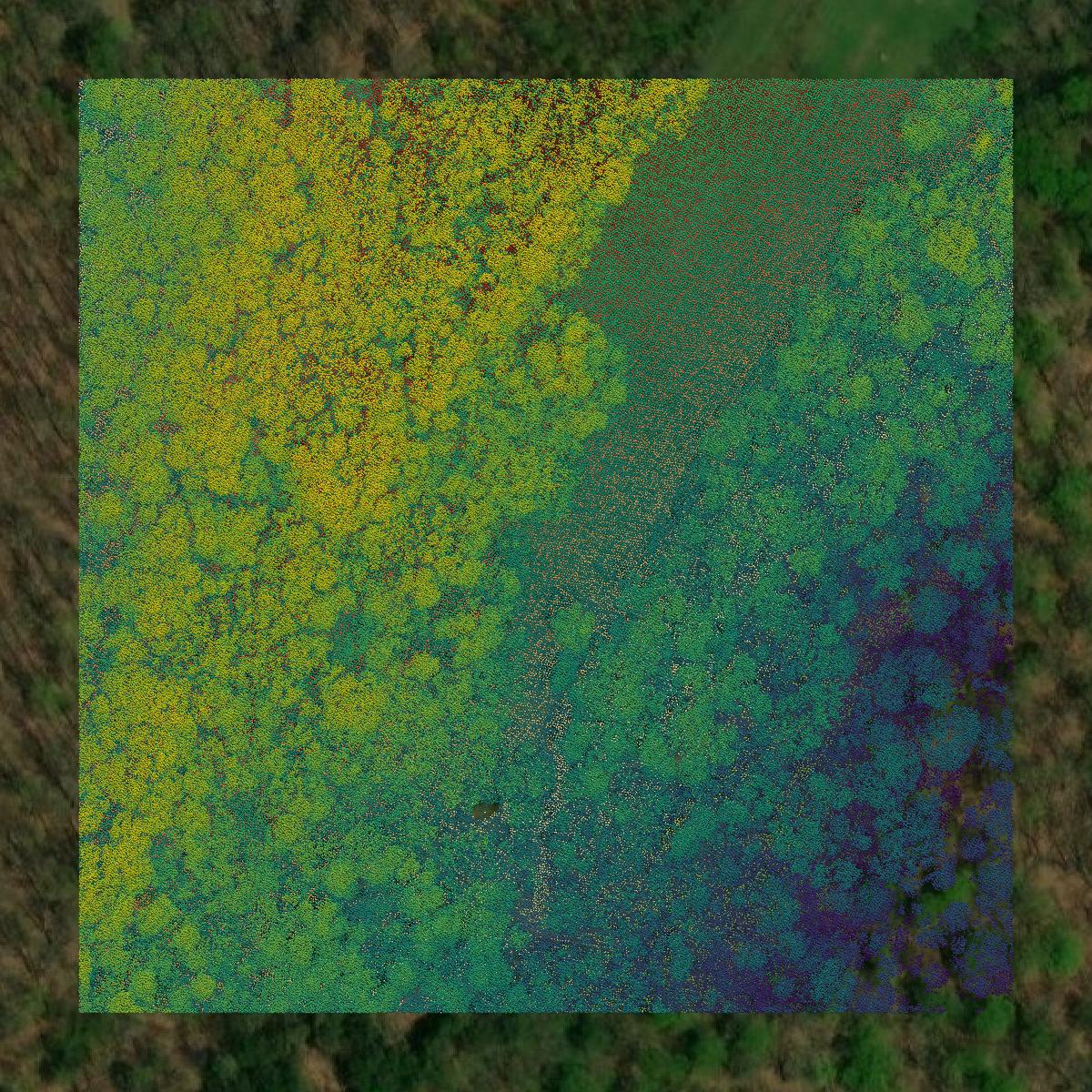 This image shows a LiDAR point cloud in Hampshire County created using GIS data in Equator.