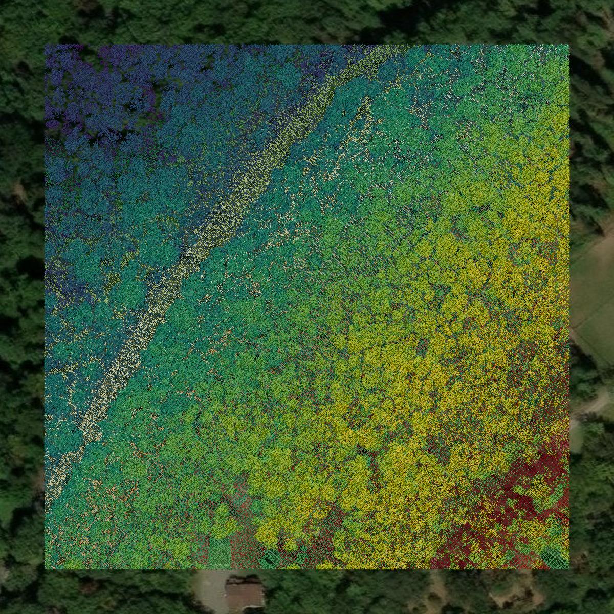 This image shows a LiDAR point cloud in Hampshire County created using GIS data in Equator.