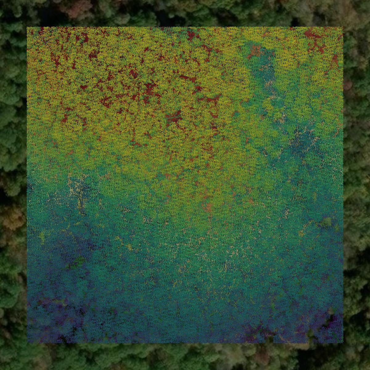 This image shows a LiDAR point cloud in Hancock County created using GIS data in Equator.