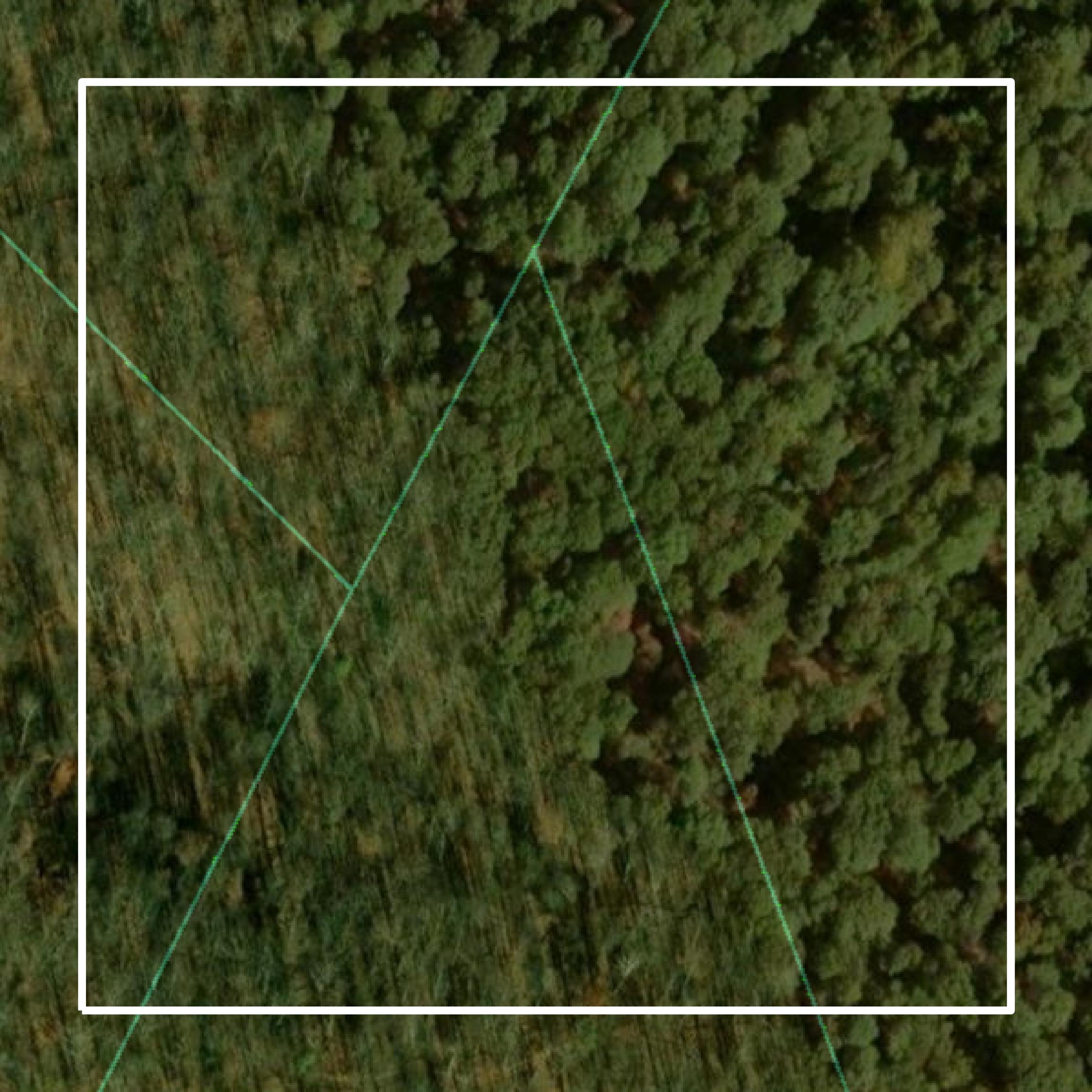 This image shows parcel and building data in Hardy County created using GIS data in Equator.