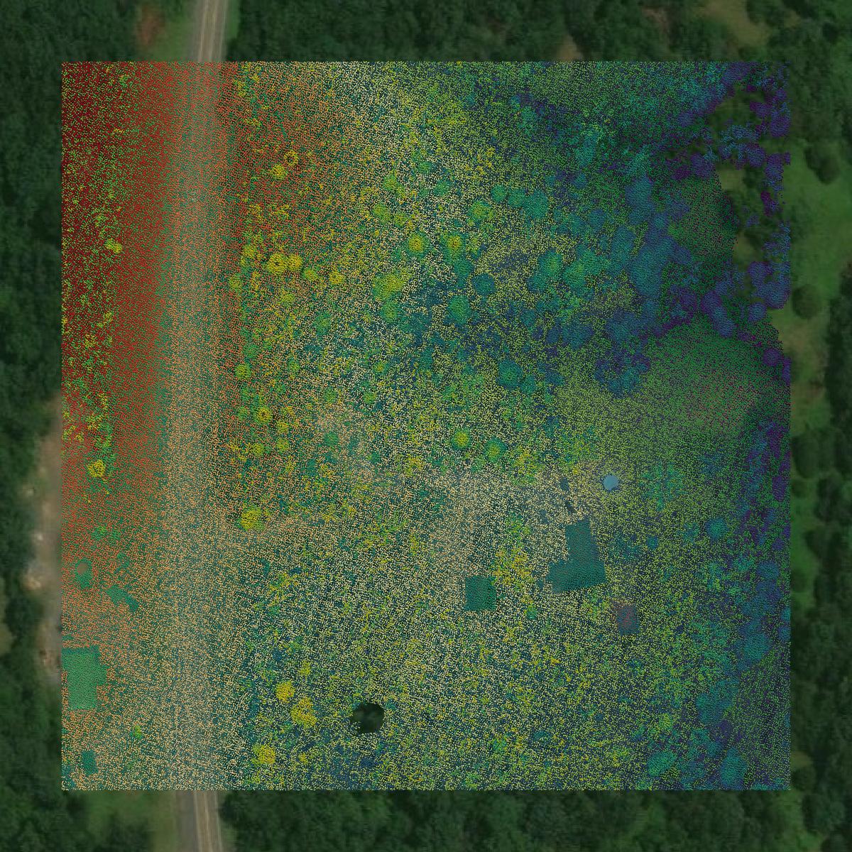 This image shows a LiDAR point cloud in Hardy County created using GIS data in Equator.
