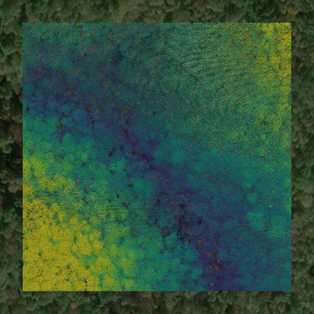 This image shows a LiDAR point cloud in Harrison County created using GIS data in Equator.