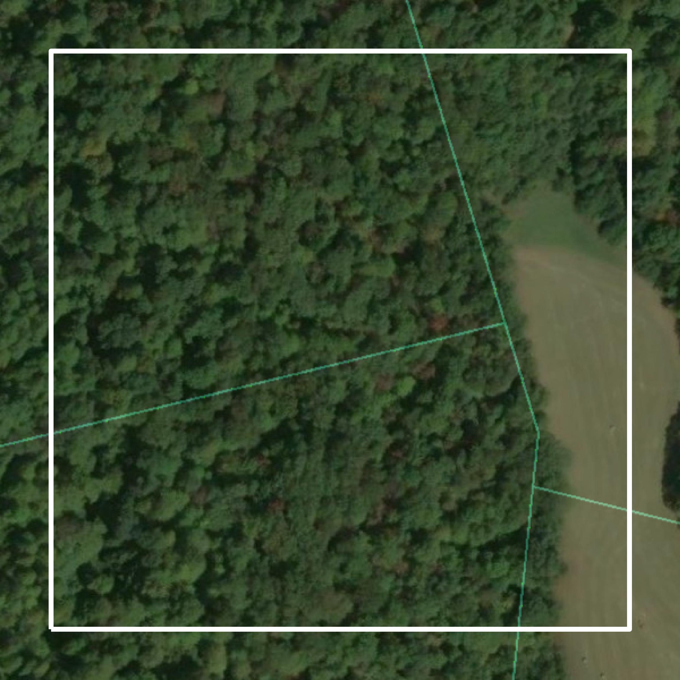 This image shows parcel and building data in Jackson County created using GIS data in Equator.
